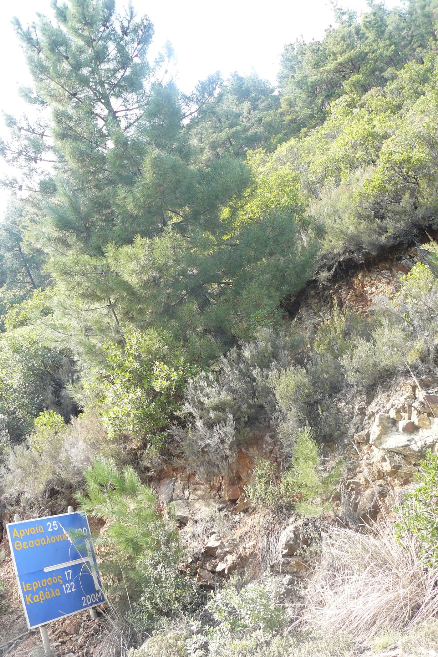Αποκατάσταση των οδικών τμημάτων «Πολύγυρος – Βρά­­σταμα – Πλανά, Μεταγγίτσι – Μεταμόρφωση, Ακτή Σαλονικιού – Αγ.Νικόλαος, Μ.Πα­ναγία – Παλαιοχώρι, Αρ­ναία – Βαρβάρα – Ολυμπιάδα, Αρναία – Μελισσουρ­γός, Είσοδος Στρατωνίου, Στρατώνι – Ολυ­μπιάδα