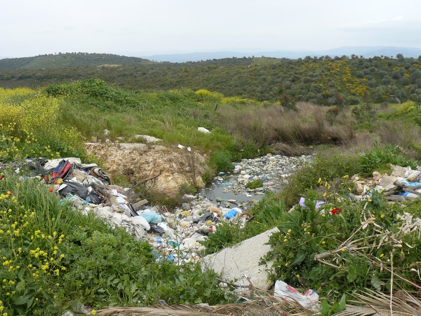 Αποκατάσταση Χ.Α.Δ.Α Αμουλιανής, Δ.Αριστοτέλη